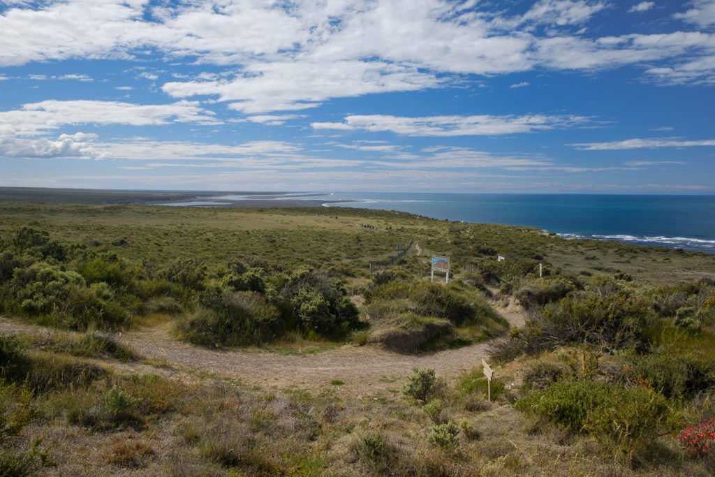 peninsule valdes proche puerto madryn patagonie paysage argentine