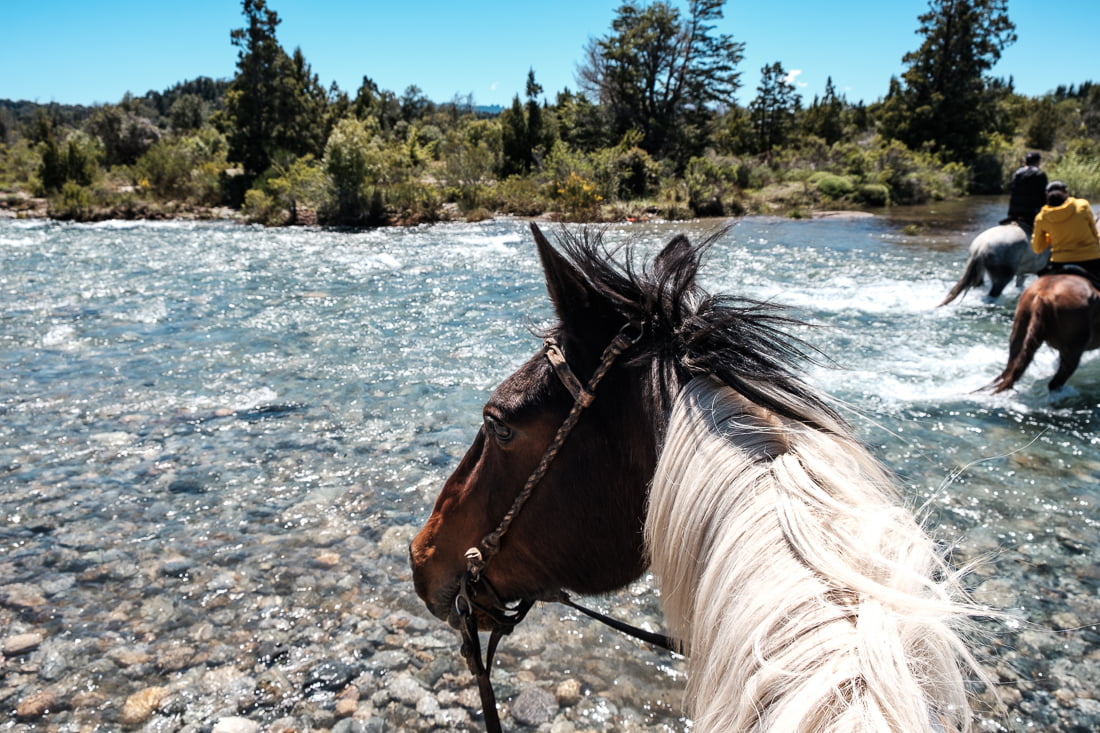 bariloche cheval argentine