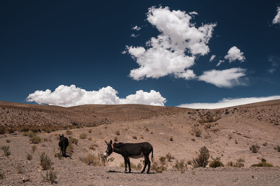 purmamamarca salta argentine quebrada salar
