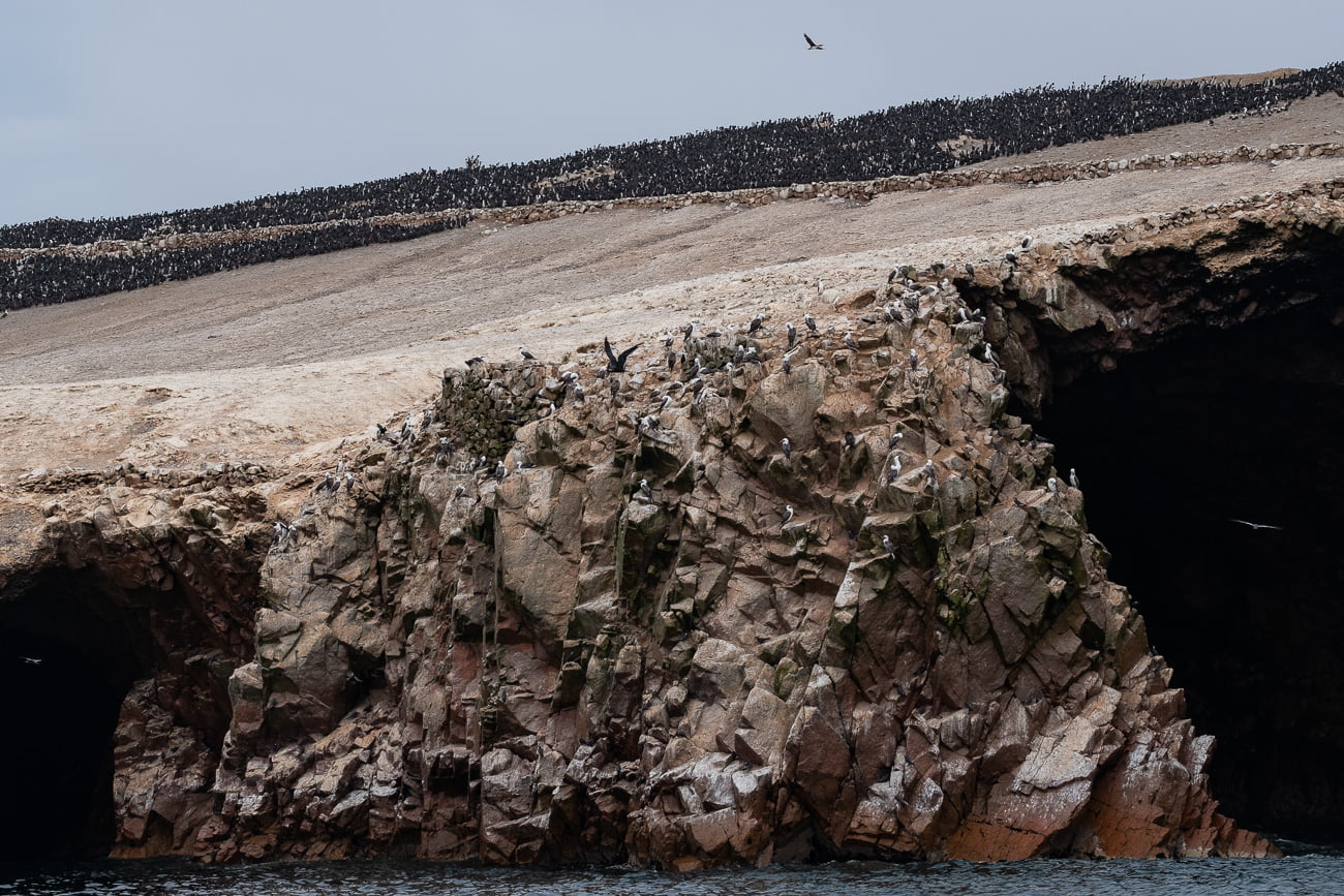 paracas islas ballestas