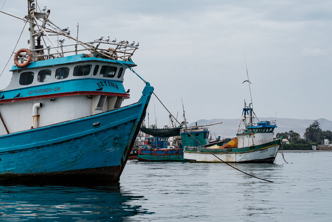 paracas pérou bateaux
