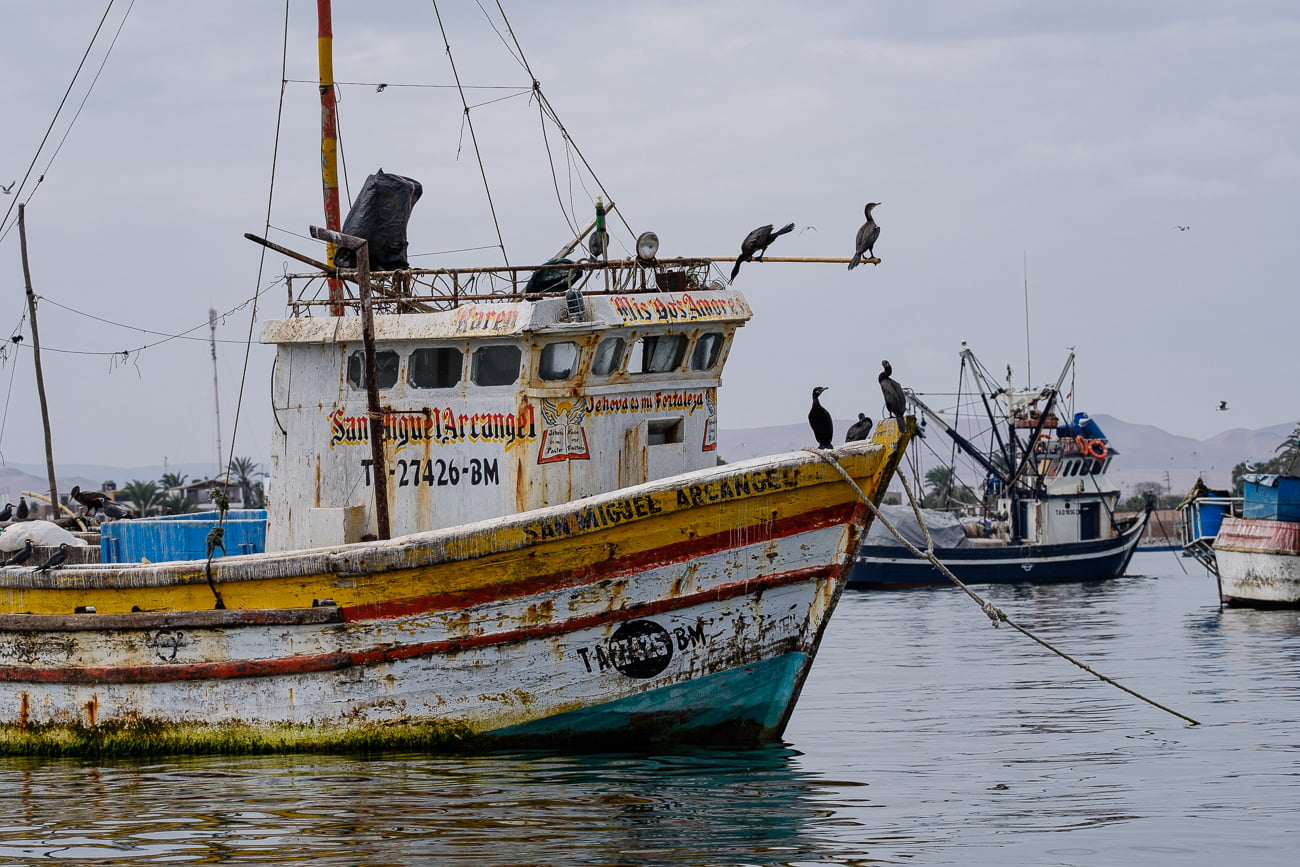 paracas bateau pérou