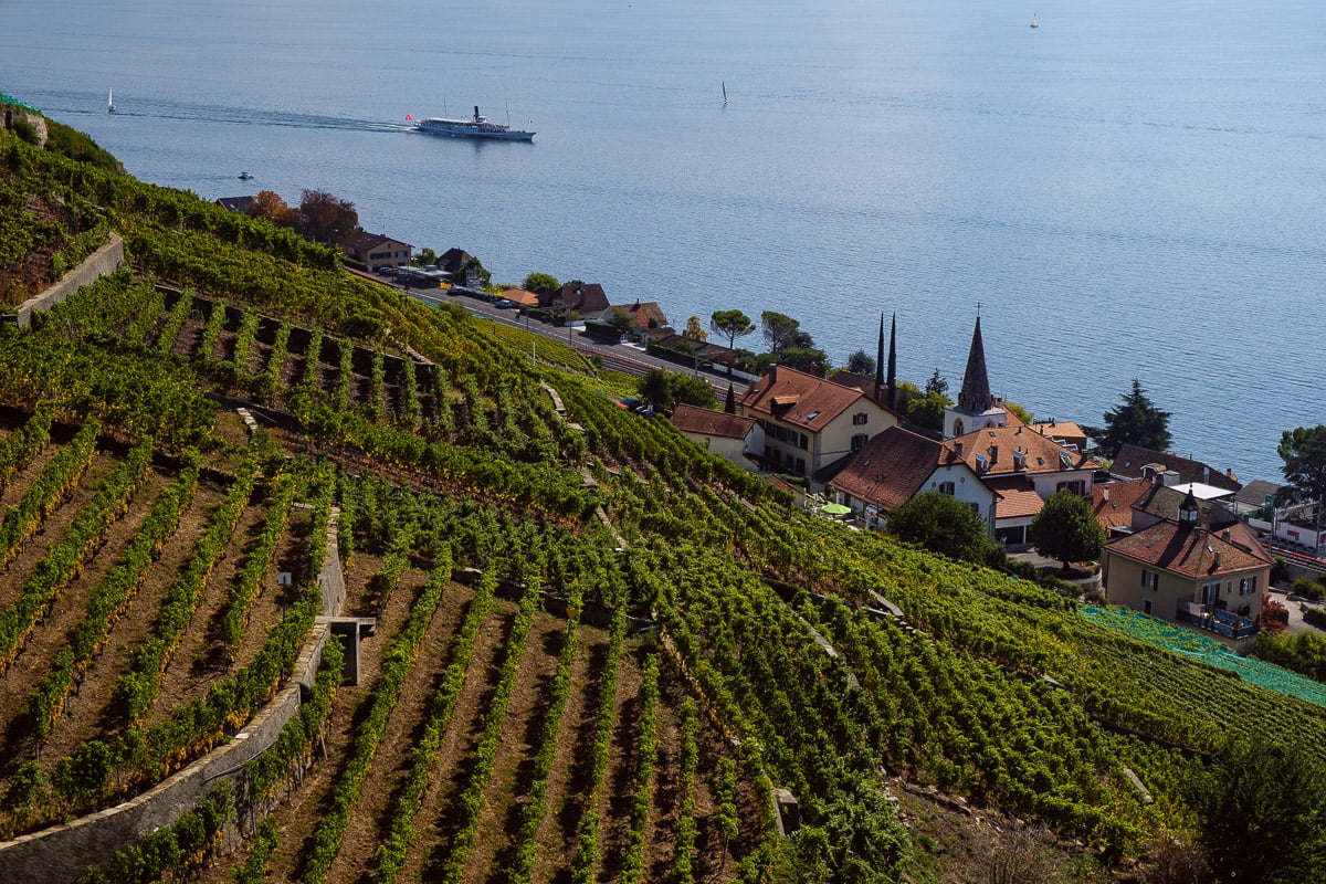 lavaux lausanne vignes