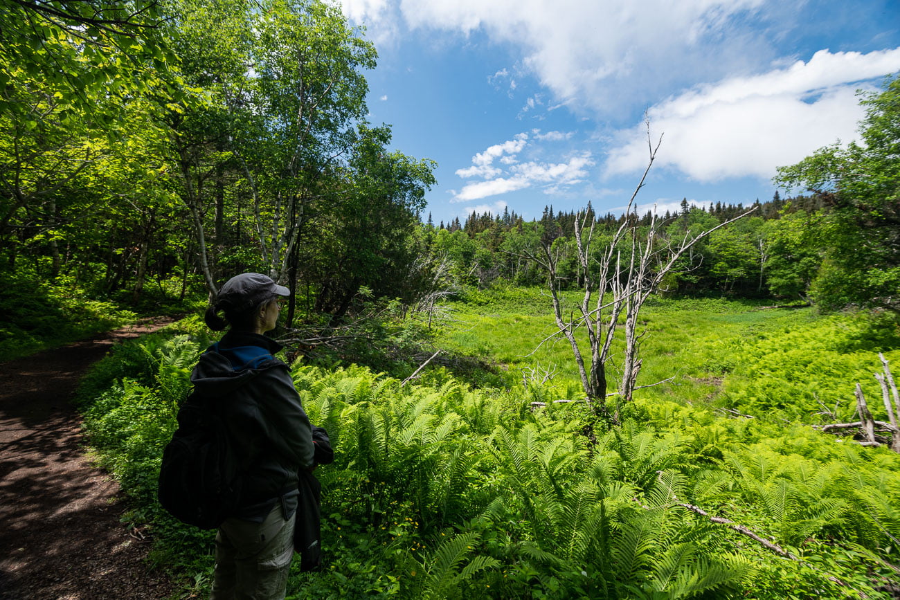 parc forillon gaspésie